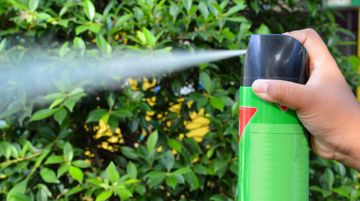 Cách sử dụng bình xịt côn trùng an toàn tại nha. Biện pháp diệt muỗi tốt nhất?