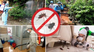 Top đèn bắt muỗi cho bệnh viện tốt nhất, luôn là lựa chọn hàng đầu cho các giải pháp tiêu diệt muỗi