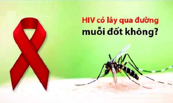 Muỗi đốt có bị HIV không?