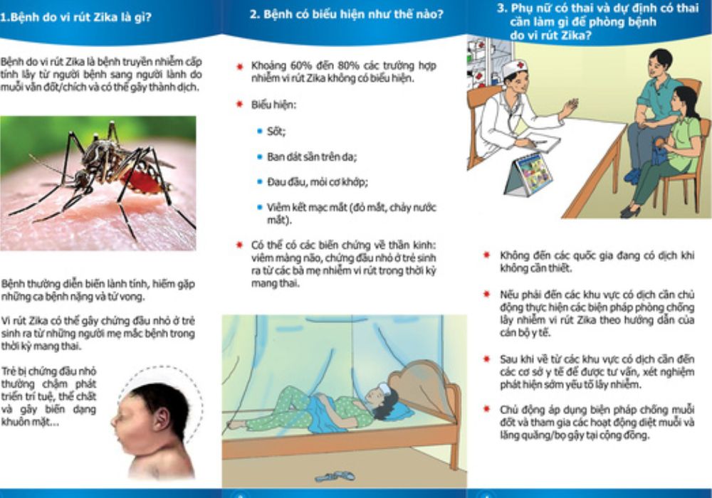 Biểu hiện bệnh Vius Zika