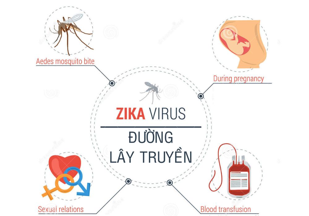 Virus Zika truyền bệnh qua những con đường nào?