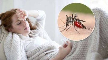 Top 5 cách phòng tránh bệnh sốt rét, đèn bắt muỗi giải bảo vệ gia đình bạn khỏi bệnh dịch