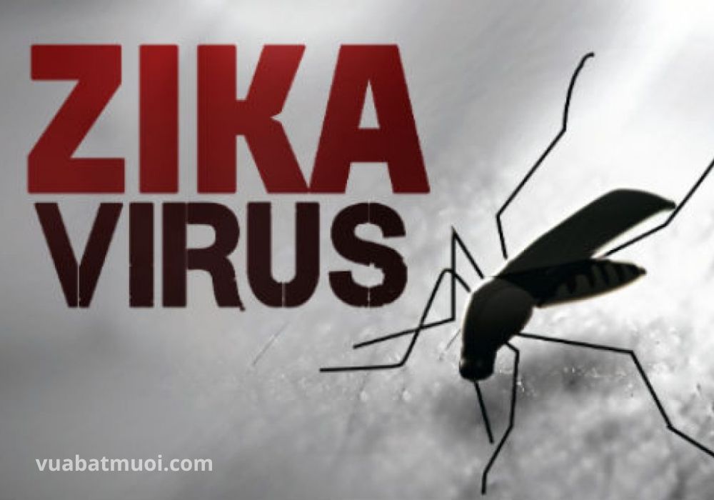 Bệnh truyền nhiễm do côn trùng - Virus Zika