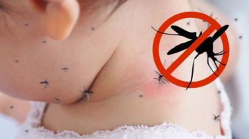 Top 5 Các loại thuốc diệt muỗi an toàn, hiệu quả cho bé được ưa chuộng nhất trên thị trường