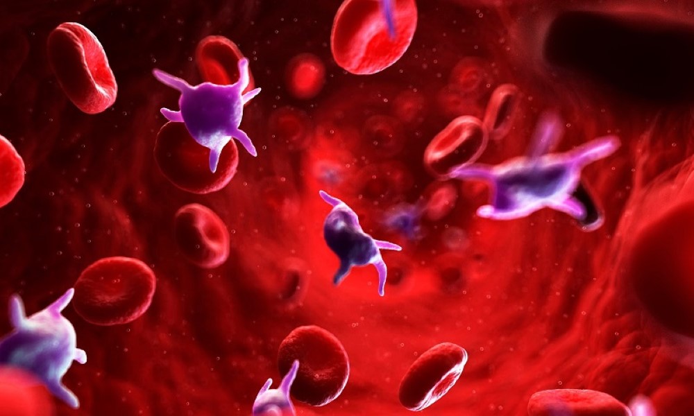 Bệnh sốt xuất huyết bị giảm tiểu cầu có nguy hiểm hay không?