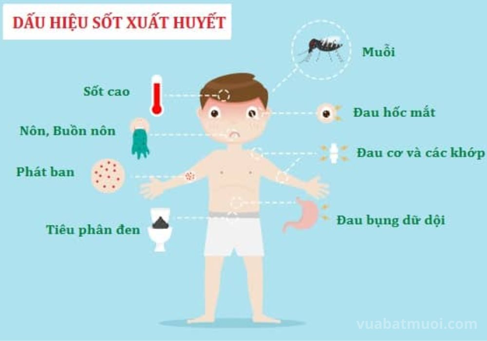 Trẻ em bị muỗi đốt nhiều có sao không? Biểu hiện trẻ bị sốt xuất huyết