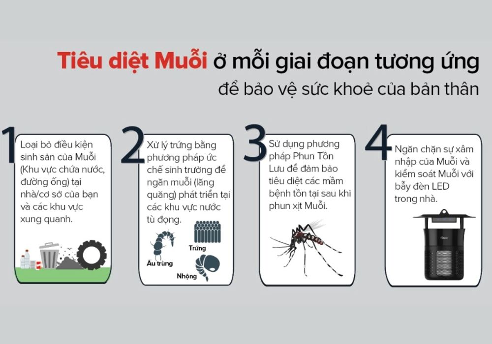 Các giai đoạn phát triển của muỗi giúp phòng bệnh tốt hơn
