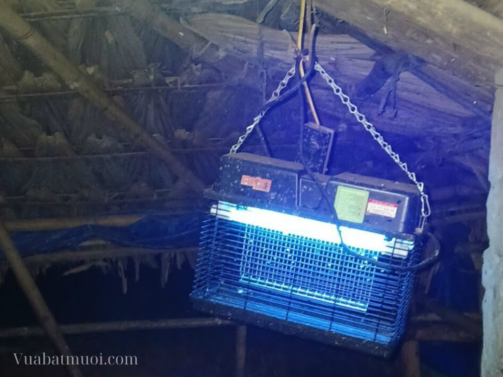 Bắt muỗi hiệu quả cho chuồng trại cùng đèn diệt côn trùng Nion CN16 tại Phú Thọ