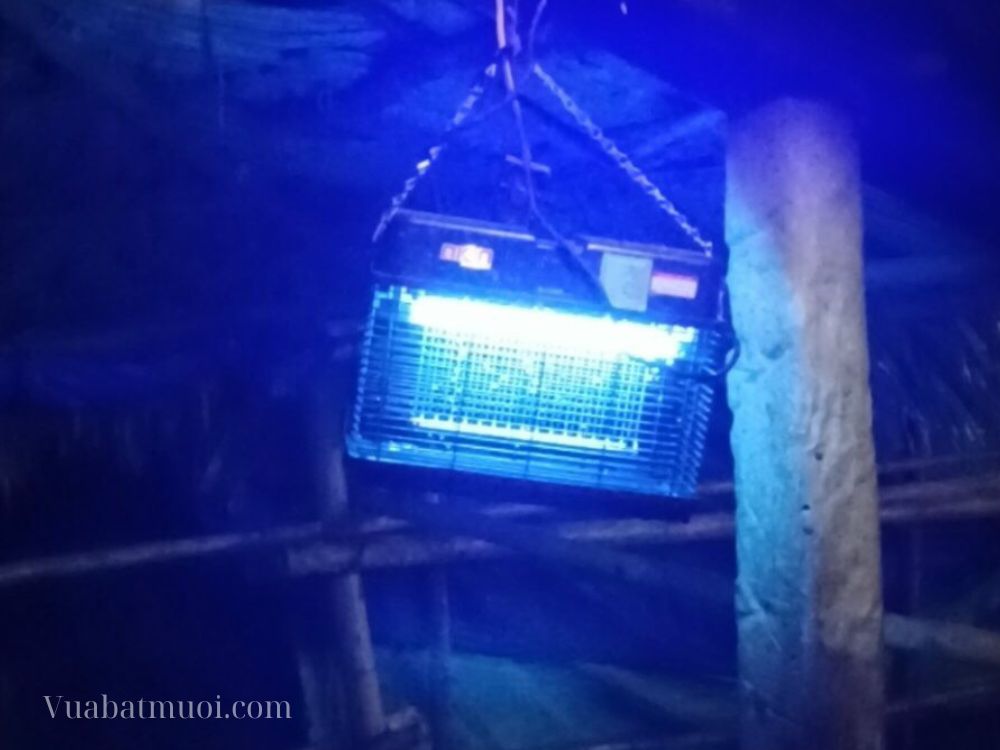 Bắt muỗi hiệu quả cho chuồng trại cùng đèn diệt côn trùng Nion CN16 tại Phú Thọ