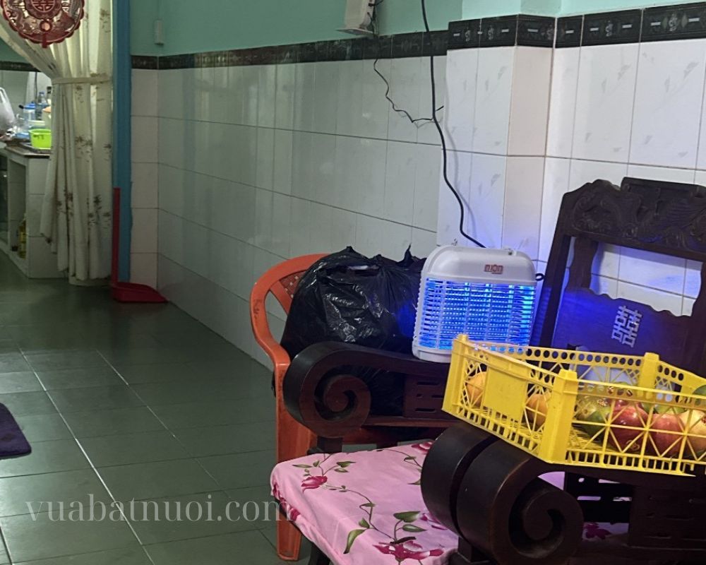 Bắt muỗi cho gia đình chưa bao giờ khó khăn với đèn bắt muỗi Nion CN100 Pro tại Quận 8, Thành phố Hồ Chí Minh