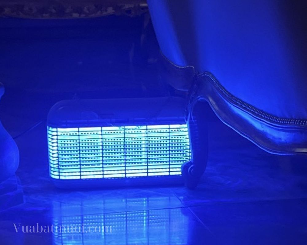 Bắt muỗi cho gia đình hiệu quả với đèn bắt muỗi CN150 Pro tại Thủ Đức