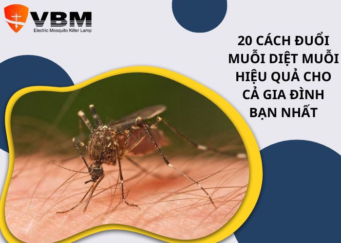 20 cách đuổi muỗi diệt muỗi hiệu quả cho cả gia đình bạn nhất