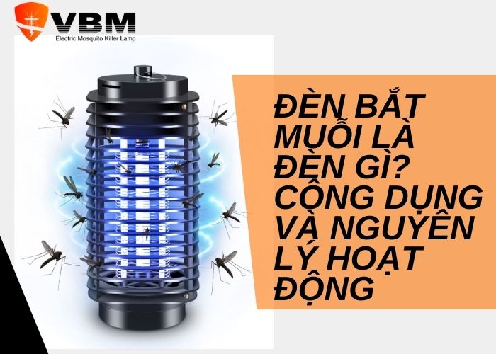 đèn bắt muỗi là đèn gì