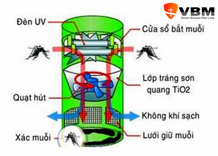 den bat muoi uv co hai khong