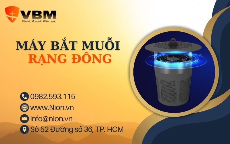 may bat muoi rang dong