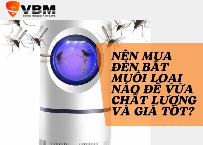 nên mua đèn bắt muỗi loại nào