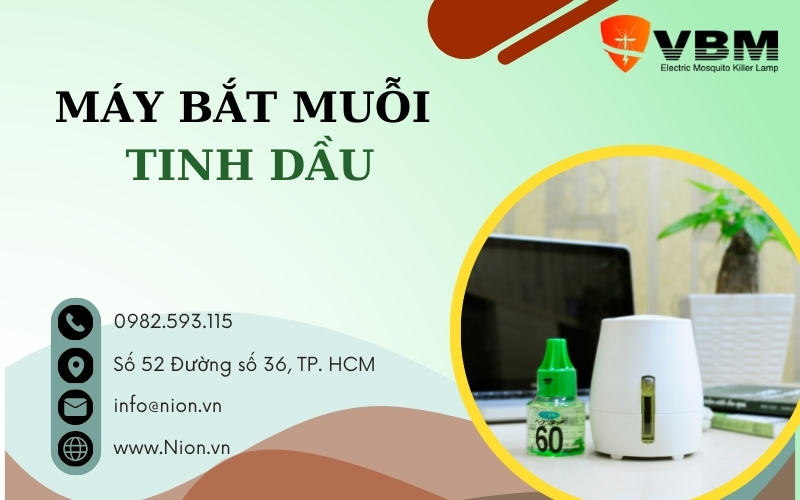 may bat muoi tinh dau