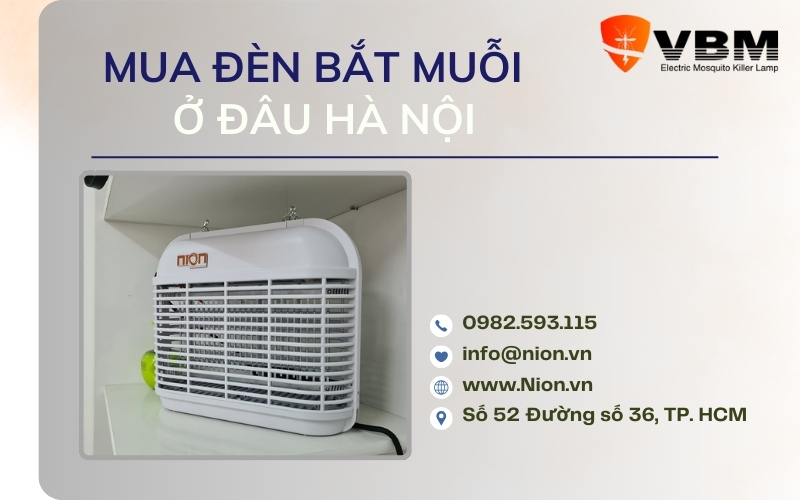 mua den bat muoi o dau ha noi