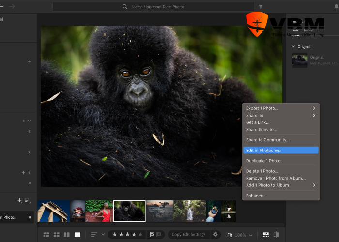 Những rủi ro khi nhận tài khoản Lightroom full màu miễn phí