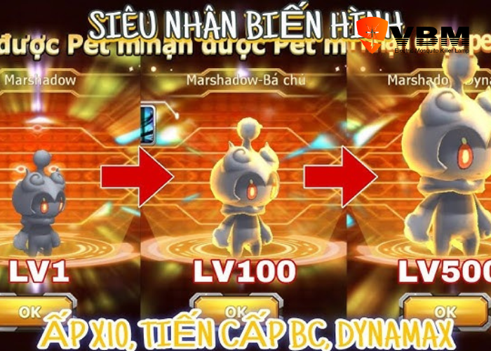 Lợi ích khi được acc Poke Đại Chiến