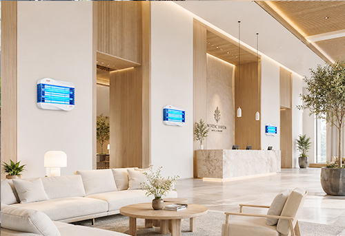 Khách sạn - Resort