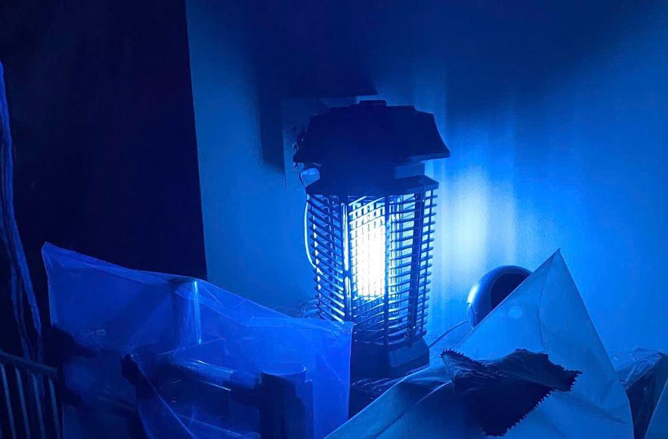 Khi nào cần thay bóng đèn bắt muỗi?