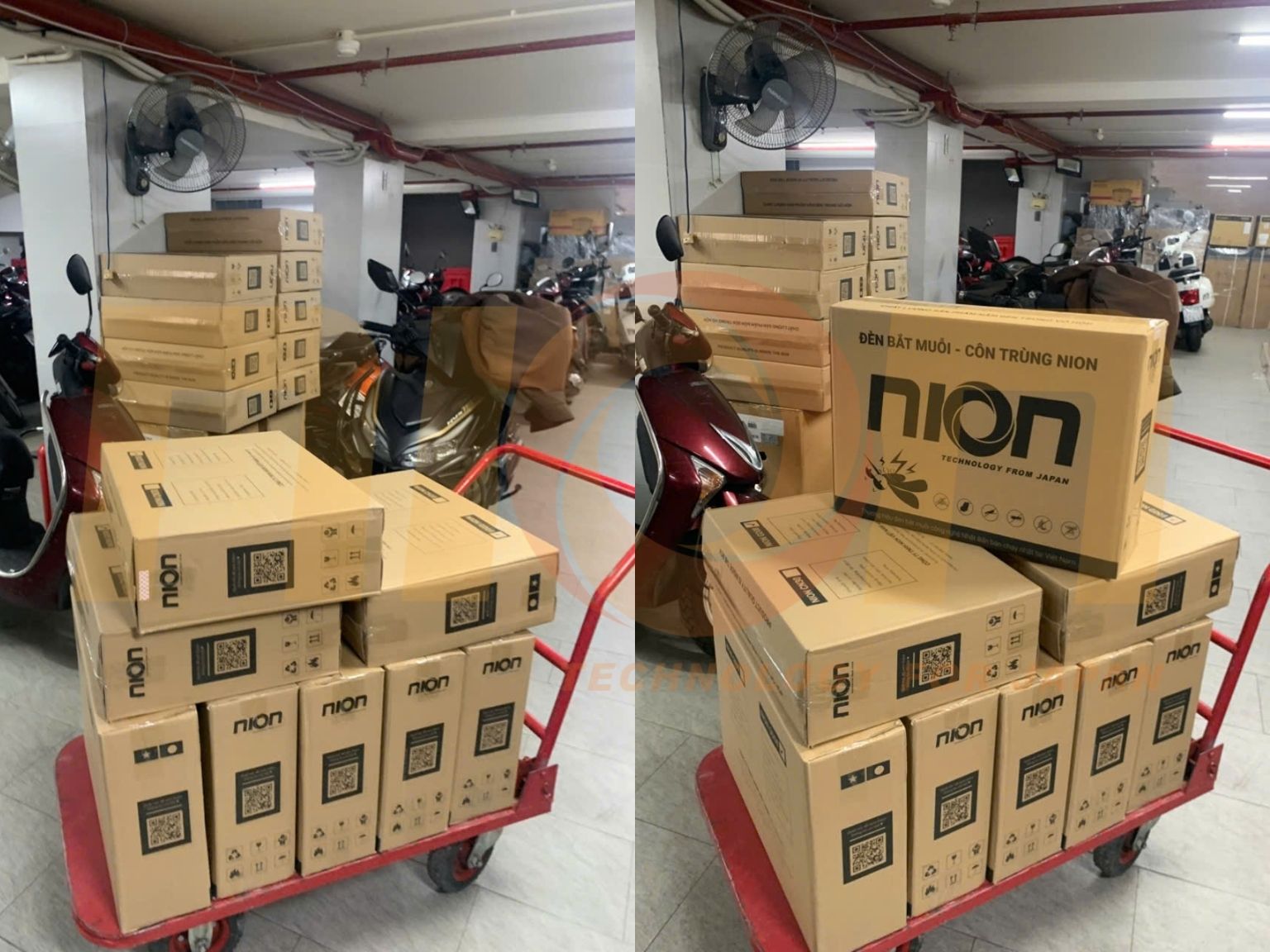 Nion GD08 – lựa chọn linh hoạt cho bài toán kiểm soát côn trùng thương mại