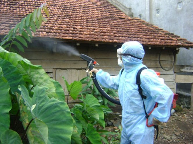 Tác hại của thuốc phun muỗi: Những điều cần biết để sử dụng an toàn
